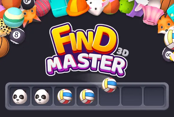 Find Master 3d 